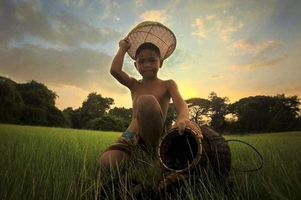 Trẻ em nông thôn Thái Lan cùng những công việc thường ngày.