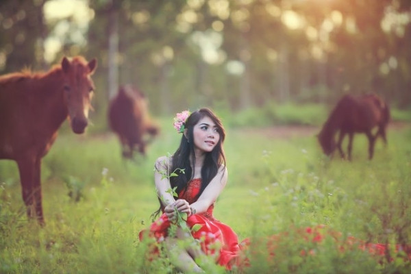 Cô gái nổi bật trên cánh đồng, bên bầy ngựa.