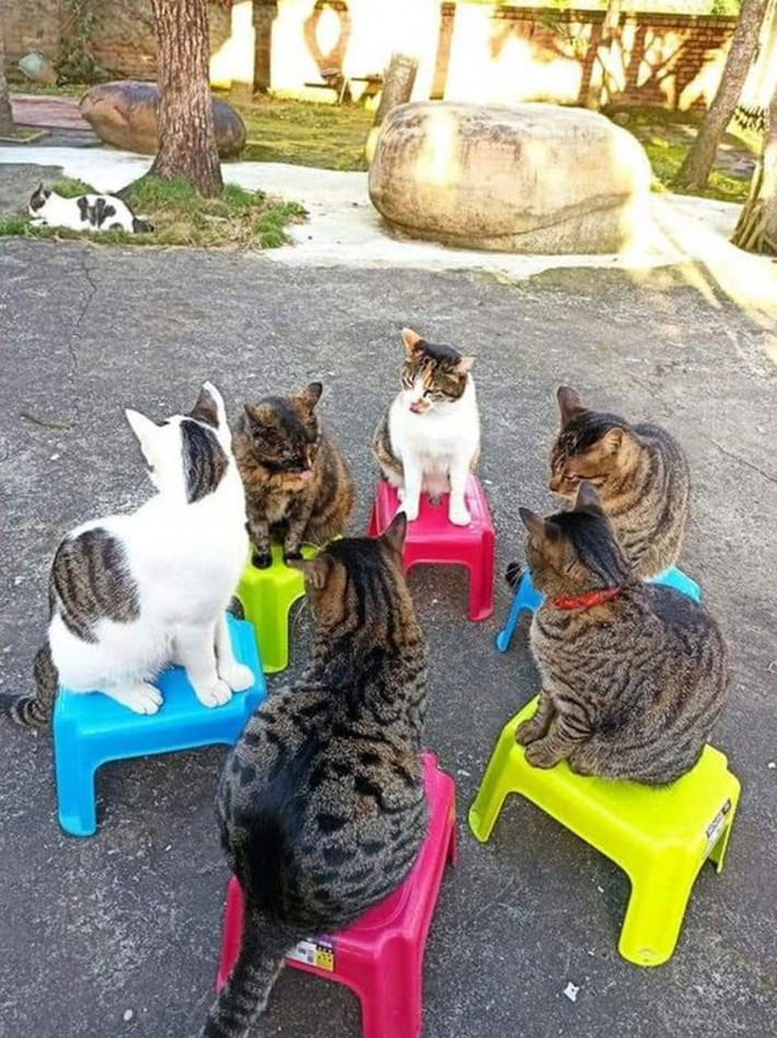 Hội nghị bàn tròn.