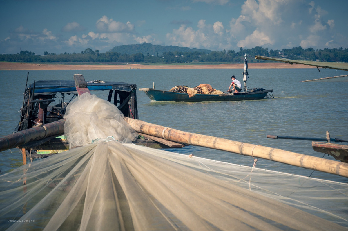 Quanh hồ có khá nhiều khu cắm trại từ bình dân (chỉ cho thuê lều) đến cao cấp (bao tất cả dịch vụ) với giá từ 25.000-900.000 đồng/người. Ngoài khám phá thảm cỏ trong lòng hồ, bạn có thể tham gia các hoạt động khác như chèo sup, thăm đảo Ó, ngắm hoàng hôn, săn bình minh, thưởng thức các món ăn địa phương...