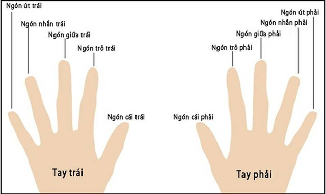 Ý nghĩa phong thủy các ngón tay đeo nhẫn cho nam và nữ Y nghia phong thuy cac ngon tay deo nhan cho nam va nu