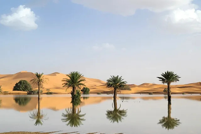 Sa mạc Sahara hiếm hoi trở thành “hồ nước xanh” sau nửa thế kỷ - Hình 2 Sa mac Sahara hiem hoi tro thanh “ho nuoc xanh” sau nua the ky-Hinh-2