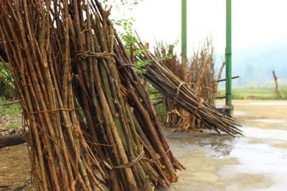 Người xưa dạy: 'Vay gạo không vay củi, mượn áo không mượn giày' - Hình 3 Nguoi xua day: 'Vay gao khong vay cui, muon ao khong muon giay'-Hinh-3