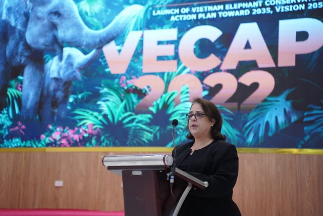 Voi Việt Nam giảm 'sốc': 200 cá thể, bảo tồn thế nào? - Hình 2 Voi Viet Nam giam 'soc': 200 ca the, bao ton the nao?-Hinh-2