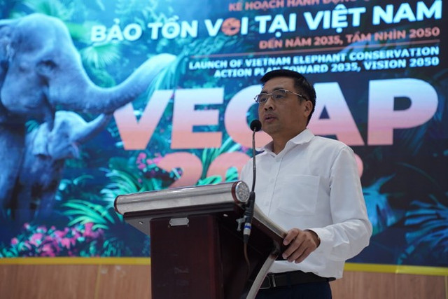 Voi Việt Nam giảm 'sốc': 200 cá thể, bảo tồn thế nào? Voi Viet Nam giam 'soc': 200 ca the, bao ton the nao?