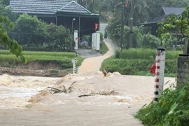 Mưa lớn kéo dài do bão số 10, nhiều xã miền Tây Nghệ An bị cô lập vì sạt lở 