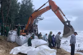Nỗ lực gia cố, bảo vệ bờ biển Hội An trước bão số 12