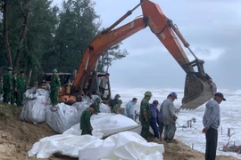 Nỗ lực gia cố, bảo vệ bờ biển Hội An trước bão số 12