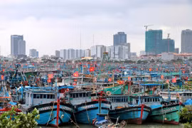 Hàng nghìn tàu cá ở Đà Nẵng vào neo đậu an toàn trước bão số 12