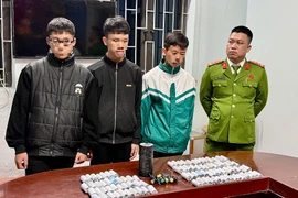 Nghệ An thu giữ hàng trăm quả pháo bi, nhiều kg pháo tự chế 