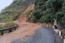 Nhiều tuyến đường ở các xã miền Tây Nghệ An bị tắc nghẽn do bão số 5