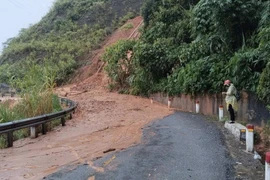 Nhiều tuyến đường ở các xã miền Tây Nghệ An bị tắc nghẽn do bão số 5