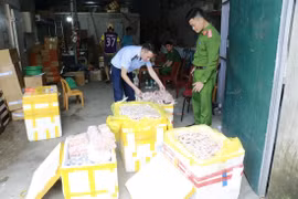 Phát hiện hơn 4.000 sản phẩm thực phẩm đông lạnh không rõ nguồn gốc ở Nghệ An
