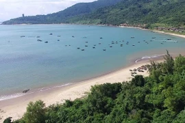 Sơn Trà Resort bị phạt gần 400 triệu đồng vì liên quan môi trường, thực phẩm