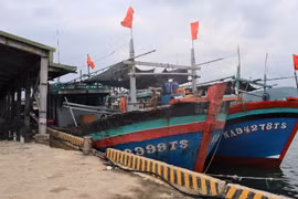 Nghệ An cấm các loại tàu, thuyền ra khơi từ 5h sáng ngày 24/8