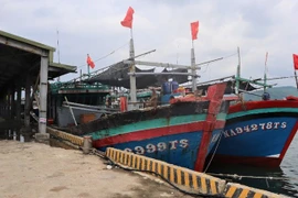 Nghệ An cấm các loại tàu, thuyền ra khơi từ 5h sáng ngày 24/8