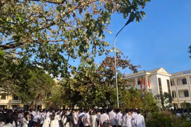 Nghệ An chi hơn 30 tỷ đồng hỗ trợ nhà trường dạy học thêm