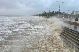 Cập nhật hình ảnh bão số 5 quét trên đất liền Nghệ An