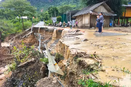 Nghệ An khắc phục 10 tuyến quốc lộ và đường tỉnh bị hư hỏng do mưa lũ