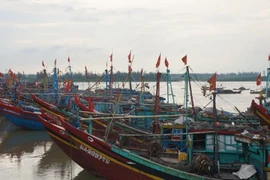 Nghệ An cấm tàu thuyền ra khơi để phòng, chống bão số 11