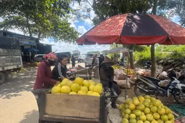 Nhộn nhịp khu chợ ở Hà Tĩnh chỉ bán "đệ nhất danh quả"