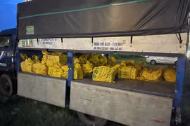 Đánh sập đường dây buôn bán khí cười có giao dịch hơn 50 tỷ đồng ở Đà Nẵng