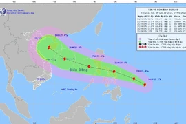Nghệ An chủ động ứng phó với bão số 10 BUALOI