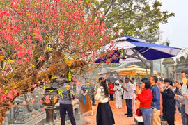 Lễ hội đầu xuân tại Đền Chợ Củi Hà Tĩnh thu hút hàng vạn du khách