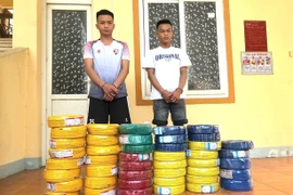 Bắt 2 anh em ruột đột nhập công ty ở Nghệ An cuỗm 44 cuộn dây điện