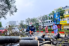 Nghệ An nỗ lực khắc phục hậu quả nặng nề sau bão số 10 