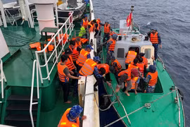 Bàn giao 52 thuyền viên tàu cá Đà Nẵng bị chìm đến đảo Song Tử Tây an toàn