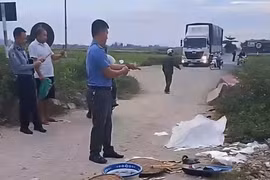 Người phụ nữ bán cá băng qua đường bị tàu hỏa tông tử vong