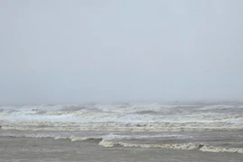 Tiếp tục triển khai quyết liệt công tác ứng phó bão số 5 Kajiki