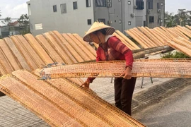 Hương Tết từ làng bánh đa nem Hà Tĩnh