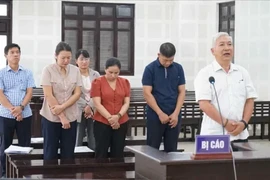 Nguyên Giám đốc Cảng vụ Hàng hải Quảng Nam cùng thuộc cấp lĩnh án 