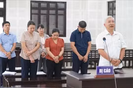 Nguyên Giám đốc Cảng vụ Hàng hải Quảng Nam cùng thuộc cấp lĩnh án 