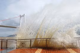 Đà Nẵng chủ động cho học sinh nghỉ học ứng phó với bão và mưa lớn