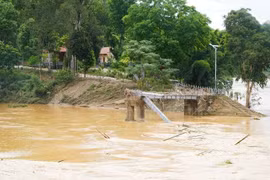 Nhiều cầu dân sinh ở Nghệ An bị trận lũ lịch sử cuốn trôi