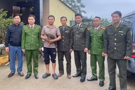 Người dân ở Thanh Hóa giao nộp cá thể gà lôi trắng