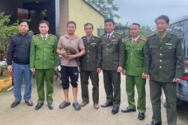 Người dân ở Thanh Hóa giao nộp cá thể gà lôi trắng