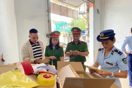 Phát hiện gần 4.200 chiếc bánh Trung thu không rõ nguồn gốc ở Nghệ An