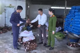  Kiểm tra đột xuất, phát hiện gần 6 tấn thực phẩm không rõ nguồn gốc ở Thanh Hóa