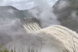 "Vỡ đập thủy điện lớn nhất Nghệ An" là thông tin sai sự thật