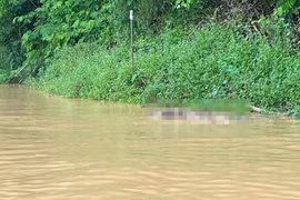 Xác minh danh tính của hai thi thể trôi trên lòng hồ thủy điện ở Nghệ An