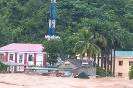 Thủ tướng chỉ đạo tập trung ứng phó khẩn cấp với mưa lũ ở Nghệ An