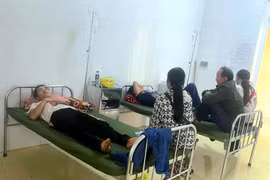 Cứu sống 2 người dân ở xã miền núi Nghệ An ăn phải nấm độc