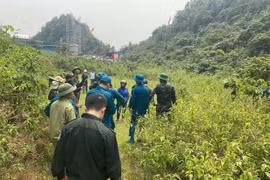 Bí ẩn vụ người đàn ông mất tích, phát hiện tử vong trong rừng sâu ở Nghệ An