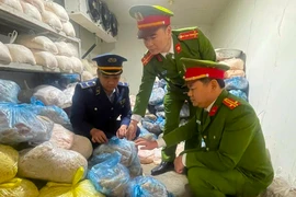 Nghệ An tiêu hủy hơn 2 tấn thực phẩm bẩn trước Tết