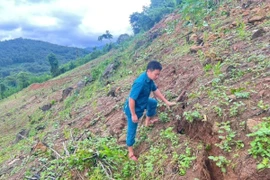  Phát hiện vết nứt dài 100m trên sườn núi ở Nghệ An