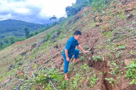  Phát hiện vết nứt dài 100m trên sườn núi ở Nghệ An